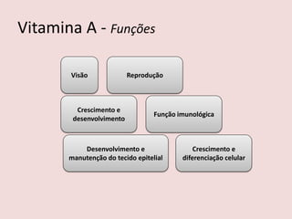 Vitamina A - Funções 
Visão 
Crescimento e desenvolvimento 
Desenvolvimento e manutenção do tecido epitelial 
Função imunológica 
Reprodução 
Crescimento e diferenciação celular  