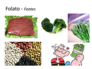 Folato - Fontes  