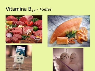 Vitamina B12 - Fontes  