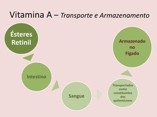 Vitamina A – Transporte e Armazenamento 
Ésteres Retinil 
Intestino 
Sangue 
Transportados como constituintes dos quilomícrons 
Armazenado 
no 
Fígado  