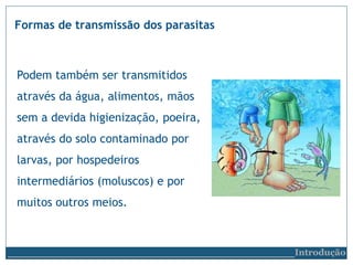 Podem também ser transmitidos
através da água, alimentos, mãos
sem a devida higienização, poeira,
através do solo contaminado por
larvas, por hospedeiros
intermediários (moluscos) e por
muitos outros meios.
Formas de transmissão dos parasitas
__________________________Introdução
 