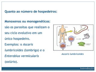 Monoxenos ou monogenéticos:
são os parasitas que realizam o
seu ciclo evolutivo em um
único hospedeiro.
Exemplos: o Ascaris
lumbricoides (lombriga) e o
Enterobius vermicularis
(oxiúrio).
Quanto ao número de hospedeiros:
Ascaris lumbricoides
__________________________Introdução
 