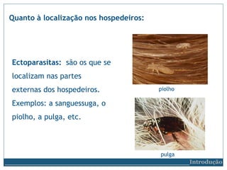 Quanto à localização nos hospedeiros:
Ectoparasitas: são os que se
localizam nas partes
externas dos hospedeiros.
Exemplos: a sanguessuga, o
piolho, a pulga, etc.
piolho
pulga
__________________________Introdução
 