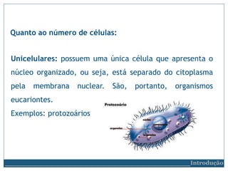 Unicelulares: possuem uma única célula que apresenta o
núcleo organizado, ou seja, está separado do citoplasma
pela membrana nuclear. São, portanto, organismos
eucariontes.
Exemplos: protozoários
Quanto ao número de células:
__________________________Introdução
 