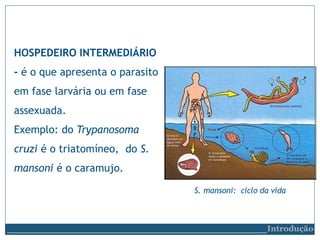 HOSPEDEIRO INTERMEDIÁRIO
- é o que apresenta o parasito
em fase larvária ou em fase
assexuada.
Exemplo: do Trypanosoma
cruzi é o triatomíneo, do S.
mansoni é o caramujo.
S. mansoni: ciclo da vida
__________________________Introdução
 