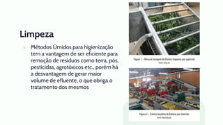 Limpeza
● Métodos Úmidos para higienização
tem a vantagem de ser eficiente para
remoção de resíduos como terra, pós,
pesticidas, agrotóxicos etc., porém há
a desvantagem de gerar maior
volume de efluente, o que obriga o
tratamento dos mesmos
 
