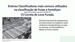 Esteiras Classificadoras mais comuns utilizados
na classificação de frutas e hortaliças:
https://www.youtube.com/watch?v=Qf-OKki-ZVk
(1) Correia de Lona Furada.
No funcionamento do equipamento,
os frutos entram na máquina e caem
conforme a furação da lona, ou seja,
os menores, os intermediários e
depois os frutos maiores
 