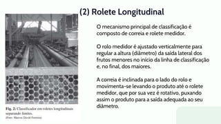 (2) Rolete Longitudinal
O mecanismo principal de classificação é
composto de correia e rolete medidor.
O rolo medidor é ajustado verticalmente para
regular a altura (diâmetro) da saída lateral dos
frutos menores no início da linha de classificação
e, no final, dos maiores.
A correia é inclinada para o lado do rolo e
movimenta-se levando o produto até o rolete
medidor, que por sua vez é rotativo, puxando
assim o produto para a saída adequada ao seu
diâmetro.
 