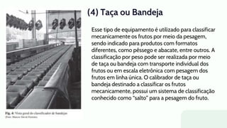 (4) Taça ou Bandeja
Esse tipo de equipamento é utilizado para classificar
mecanicamente os frutos por meio da pesagem,
sendo indicado para produtos com formatos
diferentes, como pêssego e abacate, entre outros. A
classificação por peso pode ser realizada por meio
de taça ou bandeja com transporte individual dos
frutos ou em escala eletrônica com pesagem dos
frutos em linha única. O calibrador de taça ou
bandeja destinado a classificar os frutos
mecanicamente, possui um sistema de classificação
conhecido como “salto” para a pesagem do fruto.
 