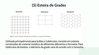 (5) Esteira de Grades
Utilizada principalmente para bulbos e tubérculos, consiste em esteiras
constituídas de material metálico de diferentes diâmetros e formatos. Para
tubérculos de batatas, o diâmetro da grade varia de acordo com o tamanho.
 