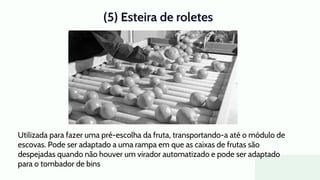 (5) Esteira de roletes
Utilizada para fazer uma pré-escolha da fruta, transportando-a até o módulo de
escovas. Pode ser adaptado a uma rampa em que as caixas de frutas são
despejadas quando não houver um virador automatizado e pode ser adaptado
para o tombador de bins
 
