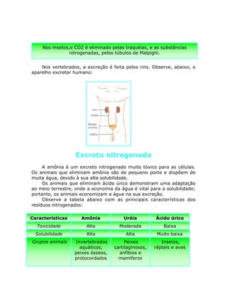 Nos vertebrados, a excreção é feita pelos rins. Observe, abaixo, o
aparelho excretor humano:
Excreta nitrogenada
A amônia é um excreto nitrogenado muito tóxico para as células.
Os animais que eliminam amônia são de pequeno porte e dispõem de
muita água, devido à sua alta solubilidade.
Os animais que eliminam ácido úrico demonstram uma adaptação
ao meio terrestre, onde a economia da água é vital para a solubilidade;
portanto, os animais economizam a água na sua excreção.
Observe a tabela abaixo com as principais características dos
resíduos nitrogenados:
Nos insetos,o CO2 é eliminado pelas traquéias, e as substâncias
nitrogenadas, pelos túbulos de Malpighi.
Características Amônia Uréia Ácido úrico
Toxicidade Alta Moderada Baixa
Alta Alta Muito baixaSolubilidade
Grupos animais Invertebrados
aquáticos,
peixes ósseos,
protocordados
Peixes
cartilaginosos,
anfíbios e
mamíferos
Insetos,
répteis e aves
 