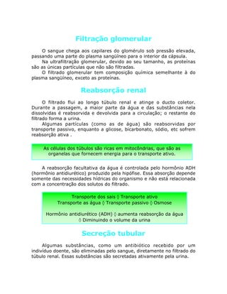 Filtração glomerular
O sangue chega aos capilares do glomérulo sob pressão elevada,
passando uma parte do plasma sangüíneo para o interior da cápsula.
Na ultrafiltração glomerular, devido ao seu tamanho, as proteínas
são as únicas partículas que não são filtradas.
O filtrado glomerular tem composição química semelhante à do
plasma sangüíneo, exceto as proteínas.
Reabsorção renal
O filtrado flui ao longo túbulo renal e atinge o ducto coletor.
Durante a passagem, a maior parte da água e das substâncias nela
dissolvidas é reabsorvida e devolvida para a circulação; o restante do
filtrado forma a urina.
Algumas partículas (como as de água) são reabsorvidas por
transporte passivo, enquanto a glicose, bicarbonato, sódio, etc sofrem
reabsorção ativa .
A reabsorção facultativa da água é controlada pelo hormônio ADH
(hormônio antidiurético) produzido pela hipófise. Essa absorção depende
somente das necessidades hídricas do organismo e não está relacionada
com a concentração dos solutos do filtrado.
Secreção tubular
Algumas substâncias, como um antibiótico recebido por um
indivíduo doente, são eliminadas pelo sangue, diretamente no filtrado do
túbulo renal. Essas substâncias são secretadas ativamente pela urina.
As células dos túbulos são ricas em mitocôndrias, que são as
organelas que fornecem energia para o transporte ativo.
Transporte dos sais ‡ Transporte ativo
Transporte as água ‡ Transporte passivo ‡ Osmose
Hormônio antidiurético (ADH) ‡ aumenta reabsorção da água
‡ Diminuindo o volume da urina
 
