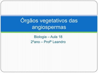 Órgãos vegetativos das
    angiospermas
     Biologia – Aula 18
   2ºano – Profº Leandro
 