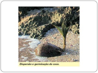 Aula18bio2 c leandro