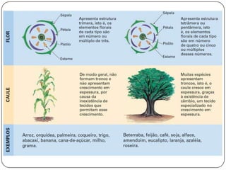 Aula18bio2 c leandro