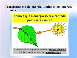 Transformação de energia luminosa em energia
química
 