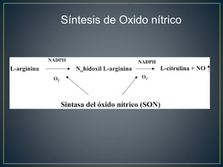 Síntesis de Oxido nítrico
 
