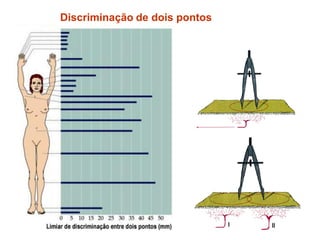 Discriminação de dois pontos
 