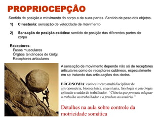 Sentido de posição e movimento do corpo e de suas partes. Sentido de peso dos objetos.
1) Cinestesia: sensação de velocidade de movimento
2) Sensação de posição estática: sentido de posição das diferentes partes do
corpo
Receptores:
Fusos musculares
Órgãos tendinosos de Golgi
Receptores articulares
PROPRIOCEPÇÂO
A sensação de movimento depende não só de receptores
articulares como de receptores cutâneos, especialmente
em se tratando das articulações dos dedos.
ERGONOMIA: conhecimento multidisciplinar de
antropometria, biomecânica, engenharia, fisiologia e psicologia
aplicado a saúde do trabalhador. “Ciência que procura adaptar
o trabalho ao trabalhador e o produto ao usuário.”
Detalhes na aula sobre controle da
motricidade somática
 
