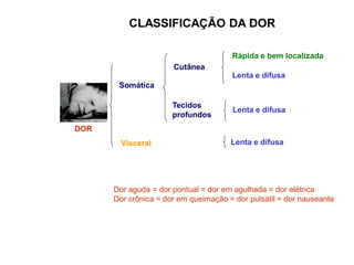 DOR
Somática
Visceral
Rápida e bem localizada
Lenta e difusa
Lenta e difusa
Cutânea
Lenta e difusa
Tecidos
profundos
CLASSIFICAÇÃO DA DOR
Dor aguda = dor pontual = dor em agulhada = dor elétrica
Dor crônica = dor em queimação = dor pulsátil = dor nauseante
 