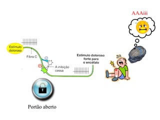 AAAiii
Portão aberto
 