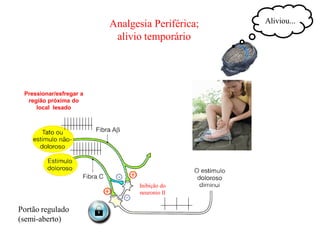 Inibição do
neuronio II
Analgesia Periférica;
alivio temporário
Aliviou...
Pressionar/esfregar a
região próxima do
local lesado
Portão regulado
(semi-aberto)
 