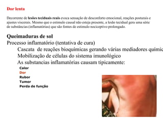 Dor lenta
Decorrente de lesões teciduais reais evoca sensação de desconforto emocional, reações posturais e
ajustes viscerais. Mesmo que o estimulo causal não esteja presente, a lesão tecidual gera uma série
de substâncias (inflamatórias) que são fontes de estimulo nociceptivo prolongado.
Queimaduras de sol
Processo inflamatório (tentativa de cura)
Cascata de reações bioquímicas gerando várias mediadores químic
Mobilização de células do sistema imunológico
As substancias inflamatórias causam tipicamente:
Calor
Dor
Rubor
Tumor
Perda de função
 
