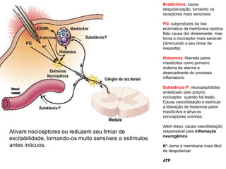 Bradicinina: causa
despolarização, tornando os
receptores mais sensíveis;
PG: subprodutos da lise
enzimática da membrana lipidica.
Não causa dor diretamente, mas
torna o nociceptor mais sensível
(diminuindo o seu limiar de
resposta);
Histamina: liberada pelos
mastócitos como primeiro
sistema de alarme e
desecadeante do processo
inflamatorio
Substância P: neuropeptidideo
sintetizado pelo próprio
nociceptor quando há lesão.
Causa vasodilatação e estimula
a liberação de histamina pelos
mastócitos e ativa os
nociceptores vizinhos.
Além disso, causa vasodilatação;
responsável pela inflamação
neurogênica.
K+: torna a membrana mais fácil
de despolarizar
ATP
Ativam nociceptores ou reduzem seu limiar de
excitabilidade, tornando-os muito sensíveis a estímulos
antes inócuos.
 