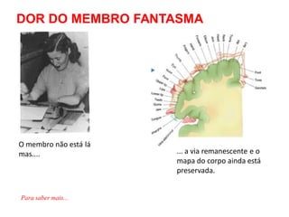 O membro não está lá
mas.... ... a via remanescente e o
mapa do corpo ainda está
preservada.
DOR DO MEMBRO FANTASMA
Para saber mais...
 