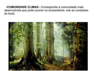 •COMUNIDADE CLIMAX - Corresponde à comunidade mais
desenvolvida que pode ocorrer no ecossistema, sob as condições
do local.
 