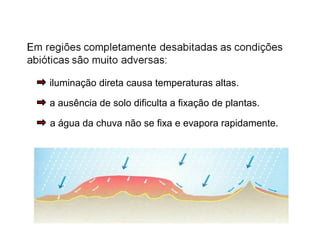 iluminação direta causa temperaturas altas.
a ausência de solo dificulta a fixação de plantas.
a água da chuva não se fixa e evapora rapidamente.
 