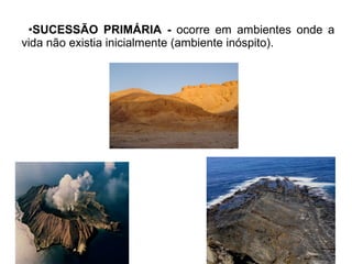 •SUCESSÃO PRIMÁRIA - ocorre em ambientes onde a
vida não existia inicialmente (ambiente inóspito).
 