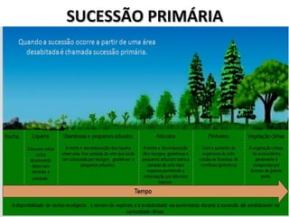 SUCESSÃO PRIMÁRIASUCESSÃO PRIMÁRIA
 