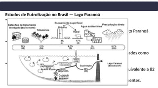 Estudos de Eutrofização no Brasil — Lago Paranoá
•Primeiros Estudos no Brasil
• Poucos estudos sobre eutrofização até a década de 1980.
• Pesquisa pioneira: Cordeiro Netto & Dutra Filho (1981) no Lago Paranoá
(Brasília, DF).
•Principais Descobertas
• Identificação e quantificação das fontes de fosfato.
• Efluentes de duas estações de tratamento de esgoto identificados como
principais fontes de fosfato antropogênico.
•Dados de Contribuição (1980)
• Estações de tratamento: responsáveis por 70% do fosfato, equivalente a 82
toneladas/ano.
• Suposição: detergentes são a maior fração do fosfato nos efluentes.
 
