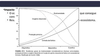 •Impactos no Metabolismo
• O ecossistema começa a produzir mais matéria orgânica do que consegue
consumir e decompor.
• Resulta em alterações profundas no metabolismo de todo o ecossistema.
 