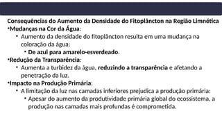 Consequências do Aumento da Densidade do Fitoplâncton na Região Limnética
•Mudanças na Cor da Água:
• Aumento da densidade do fitoplâncton resulta em uma mudança na
coloração da água:
• De azul para amarelo-esverdeado.
•Redução da Transparência:
• Aumenta a turbidez da água, reduzindo a transparência e afetando a
penetração da luz.
•Impacto na Produção Primária:
• A limitação da luz nas camadas inferiores prejudica a produção primária:
• Apesar do aumento da produtividade primária global do ecossistema, a
produção nas camadas mais profundas é comprometida.
 