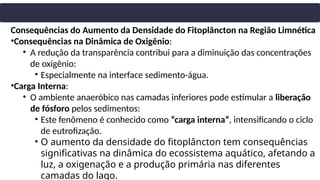 Consequências do Aumento da Densidade do Fitoplâncton na Região Limnética
•Consequências na Dinâmica de Oxigênio:
• A redução da transparência contribui para a diminuição das concentrações
de oxigênio:
• Especialmente na interface sedimento-água.
•Carga Interna:
• O ambiente anaeróbico nas camadas inferiores pode estimular a liberação
de fósforo pelos sedimentos:
• Este fenômeno é conhecido como “carga interna”, intensificando o ciclo
de eutrofização.
• O aumento da densidade do fitoplâncton tem consequências
significativas na dinâmica do ecossistema aquático, afetando a
luz, a oxigenação e a produção primária nas diferentes
camadas do lago.
 