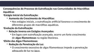 Consequências do Processo de Eutrofização nas Comunidades de Macrófitas
Aquáticas
•Estágio Inicial da Eutrofização:
• Aumento do Crescimento de Macrófitas:
• Nos estágios iniciais, a eutrofização artificial favorece o crescimento de
diferentes grupos de macrófitas aquáticas.
•Evolução da Eutrofização:
• Relação Inversa em Estágios Avançados:
• Em lagos com eutrofização avançada, ocorre um forte crescimento
de algas filamentosas na região litorânea.
•Efeito das Algas Filamentosas:
• Redução da Penetração da Luz:
• O crescimento excessivo de algas filamentosas impede a penetração
adequada de luz na água.
 