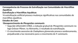 Consequências do Processo de Eutrofização nas Comunidades de Macrófitas
Aquáticas
Eutrofização e Macrófitas Aquáticas:
•A eutrofização artificial provoca mudanças significativas nas comunidades de
macrófitas aquáticas.
Estudos de Caso:
•Desaparecimento de Phragmites communis:
• Segundo Utheimöhl (1982), a redução gradual de Phragmites communis no
lago Grôsser Plöner, na Alemanha, é resultado da eutrofização.
• O crescimento excessivo de Cladophora glomerata provoca sombreamento,
prejudicando a luz necessária para o crescimento de P. communis.
 