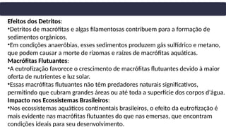Efeitos dos Detritos:
•Detritos de macrófitas e algas filamentosas contribuem para a formação de
sedimentos orgânicos.
•Em condições anaeróbias, esses sedimentos produzem gás sulfídrico e metano,
que podem causar a morte de rizomas e raízes de macrófitas aquáticas.
Macrófitas Flutuantes:
•A eutrofização favorece o crescimento de macrófitas flutuantes devido à maior
oferta de nutrientes e luz solar.
•Essas macrófitas flutuantes não têm predadores naturais significativos,
permitindo que cubram grandes áreas ou até toda a superfície dos corpos d'água.
Impacto nos Ecossistemas Brasileiros:
•Nos ecossistemas aquáticos continentais brasileiros, o efeito da eutrofização é
mais evidente nas macrófitas flutuantes do que nas emersas, que encontram
condições ideais para seu desenvolvimento.
 