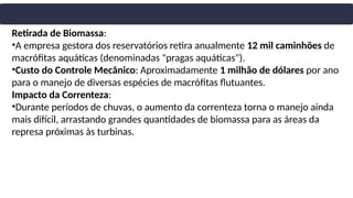 Retirada de Biomassa:
•A empresa gestora dos reservatórios retira anualmente 12 mil caminhões de
macrófitas aquáticas (denominadas "pragas aquáticas").
•Custo do Controle Mecânico: Aproximadamente 1 milhão de dólares por ano
para o manejo de diversas espécies de macrófitas flutuantes.
Impacto da Correnteza:
•Durante períodos de chuvas, o aumento da correnteza torna o manejo ainda
mais difícil, arrastando grandes quantidades de biomassa para as áreas da
represa próximas às turbinas.
 
