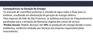 Consequências na Geração de Energia:
•O acúmulo de macrófitas próximas à entrada de água reduz o fluxo para as
turbinas, resultando em diminuição da geração de energia elétrica.
•Nas represas do Vale do São Francisco, as turbinas precisam ser frequentemente
paralisadas para a remoção de biomassa vegetal dos canais de acesso.
•Perdas Anuais: Podem alcançar até 10% na produção de energia devido a esses
problemas, conforme relatado por técnicos da empresa responsável pelos
reservatórios.
 