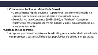 • Crescimento Rápido vs. Maturidade Sexual:
• O crescimento rápido devido à "superoferta" de alimentos resulta na
captura dos peixes antes que atinjam a maturidade sexual.
• Exemplo: No lago Constance (1958-1964), o "Felchen" (Coregonus
wartmanni) cresceu para 30 cm em apenas 2 anos, em comparação a 4
anos anteriormente.
•Consequências da Pesca:
• A captura prematura de peixes antes de atingirem a maturidade sexual pode
comprometer a sustentabilidade das populações de peixes a longo prazo.
 