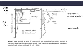 Efeitos do Represamento e Eutrofização Artificial no Lago
•Aumento da Produção Primária:
• Lançamento de esgotos domésticos incrementou nutrientes no sistema,
favorecendo o crescimento de organismos fotossintetizantes e acentuando a
eutrofização.
Eutrofização Persistente
•Eutrofização Contínua:
• Apesar das tentativas de controle, o lago permanece em um processo de
eutrofização artificial até hoje.
 