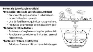 Fontes de Eutrofização Artificial
•Principais Fatores de Eutrofização Artificial
• Crescimento populacional e urbanização.
• Industrialização crescente.
• Uso de fertilizantes químicos na agricultura.
• Produção de produtos de limpeza com polifosfatos (desde 1945).
•Nutrientes Estimuladores
• Fosfatos e nitrogênio como principais nutrientes liberados.
• Funcionam como fatores limitantes, essenciais para a produção primária via
fotossíntese.
•Fontes de Fósforo e Nitrogênio
• Principais fontes artificiais de nutrientes para ecossistemas aquáticos.
 