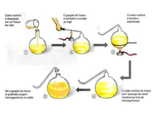 Teorias da Origem da vida e Evolução das espécies