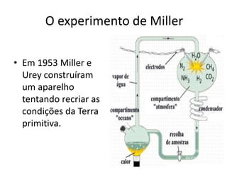 O experimento de Miller
• Em 1953 Miller e
Urey construíram
um aparelho
tentando recriar as
condições da Terra
primitiva.
(raios das
tempestades)
(resfriamento na
altitudes)
(formação de
vapor d’água)
(formação dos
oceanos)
 