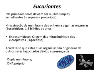 Eucariontes
•Os primeiros seres deviam ser muitos simples,
semelhantes às arqueas ( procariota).
•Invaginação da membrana deu origem a algumas organelas
(Eucarióticos, 1,5 bilhões de anos)
• Endossimbiose: Origem das mitocôndrias e dos
cloroplastos (Fagocitose)
Acredita-se que estas duas organelas são originarias de
outros seres fagocitados devido a presença de
. Dupla membrana;
. DNA próprio;
 