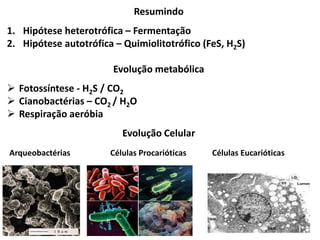 Resumindo
1. Hipótese heterotrófica – Fermentação
2. Hipótese autotrófica – Quimiolitotrófico (FeS, H2S)
Evolução metabólica
 Fotossíntese - H2S / CO2
 Cianobactérias – CO2 / H2O
 Respiração aeróbia
Evolução Celular
Arqueobactérias Células Procarióticas Células Eucarióticas
 